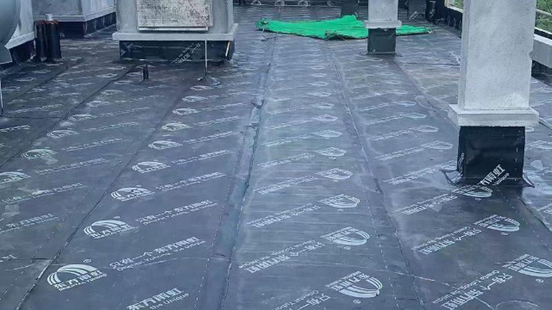 水性防水涂料环保标准：解读与选择要点